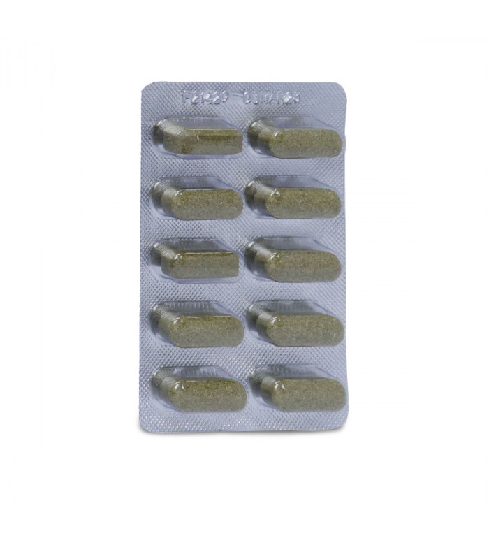 AMPALAYA (Momordica charantia) 500mg Tablet