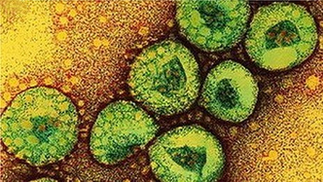 MERS-CoV Virus