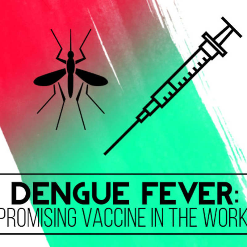 Dengue Fever: A Promising Vaccine In The Works?