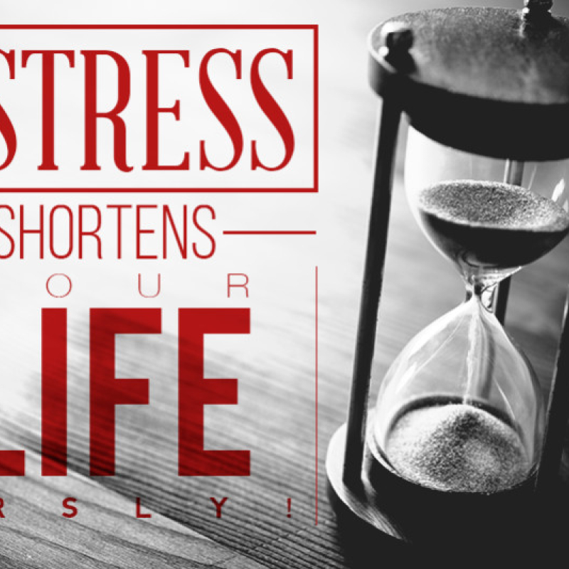 Stress Shortens Your Life…Seriously! Here’s How…