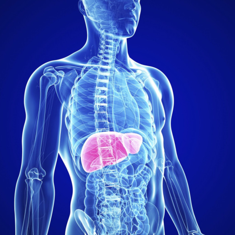 Mind Your Liver, Sugar! 3 Liver Diseases You Could Have If You’re Diabetic