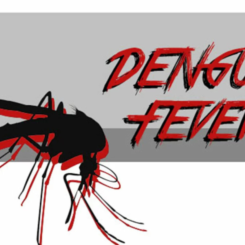 Everything There Is To Know About Dengue Fever