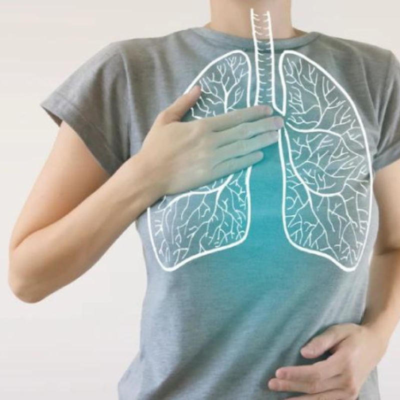 Get to know your respiratory system!