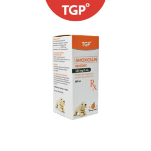 Rx: BENEDEX Amoxicillin Trihydrate Powder Suspension 125mg/60ml - Image 2