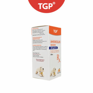 Rx: BENEDEX Amoxicillin Trihydrate Powder for Suspension 250mg -60ml - Image 4