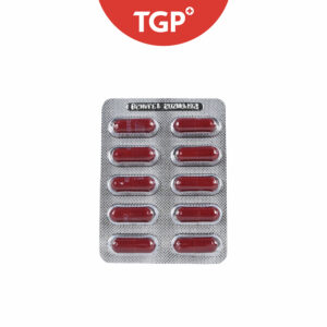 CHERIFER PGM10‑22 Vitamins + Minerals + CGF + Zinc Capsule - 10pcs - Image 4