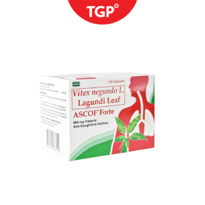 ASCOF FORTE Vitex negundo (Lagundi) Capsule - 600mg - 60pcs - Image 2