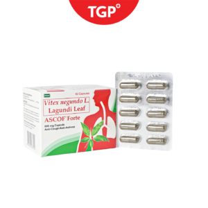 ASCOF FORTE Vitex negundo (Lagundi) Capsule - 600mg - 60pcs - Image 4