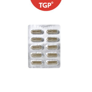 ASCOF FORTE Vitex negundo (Lagundi) Capsule - 600mg - 60pcs - Image 3