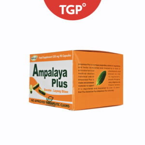 TGP Ampalaya (Momordica charantia) Tablet - 500â¯mg-100pcs - Image 2